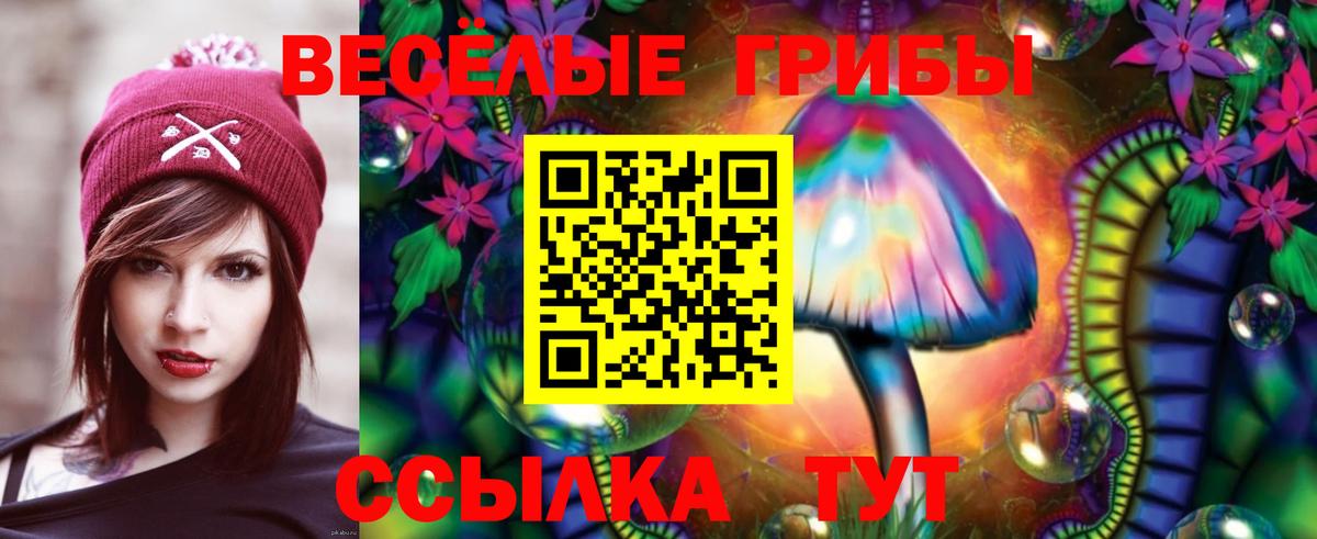 Нововоронеж  Псилоцибиновые грибы GOLDEN TEACHER  Вход с VPN 